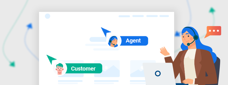 Agent co-browsing with customer