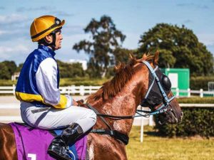 Jockey riding race horse