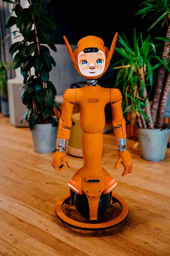 Mirokaï, humanoid robot © Enchanted Tools