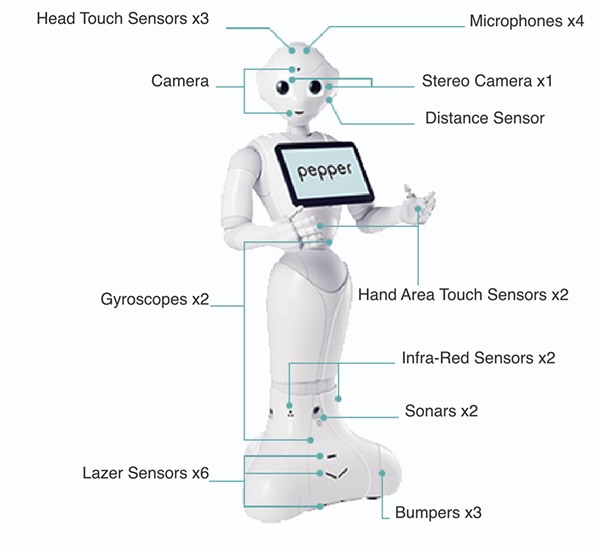 Pepper Robot © SoftBank Robotics