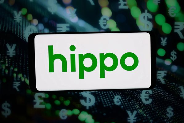 Hippo Insurance